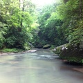 Clifty Wilderness